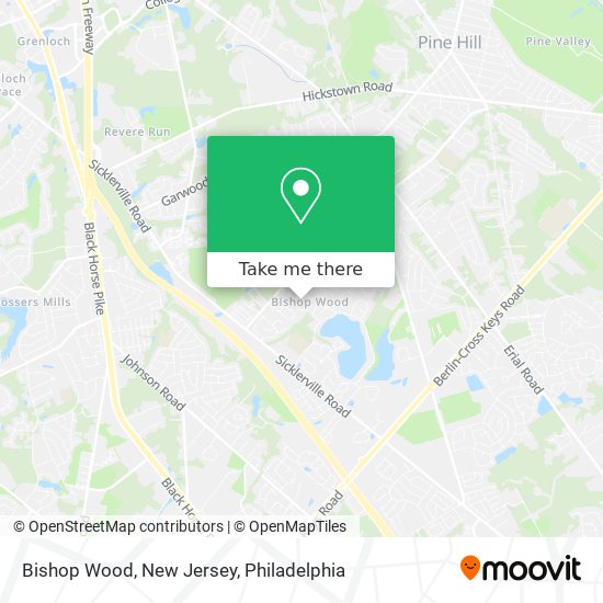 Bishop Wood, New Jersey map