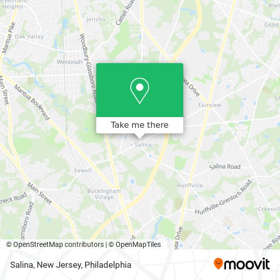 Mapa de Salina, New Jersey