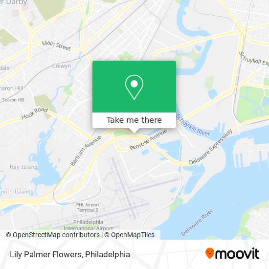 Lily Palmer Flowers map