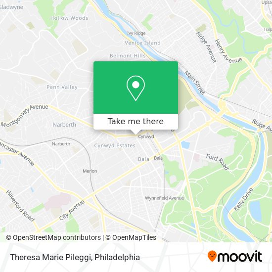 Theresa Marie Pileggi map