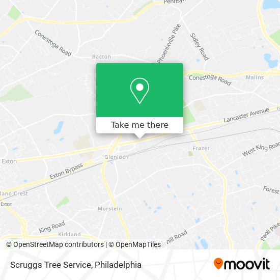 Mapa de Scruggs Tree Service