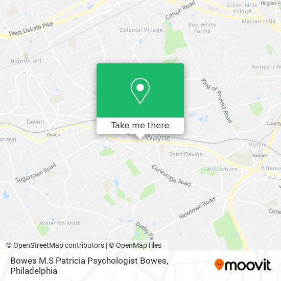 Mapa de Bowes M.S Patricia Psychologist Bowes