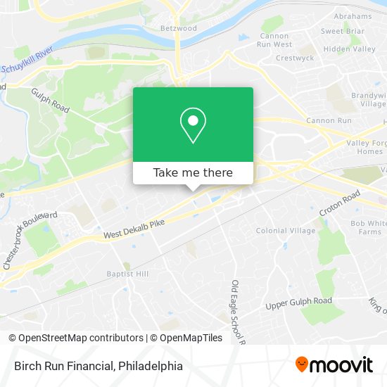 Birch Run Financial map