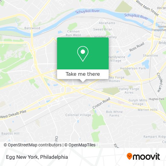 Mapa de Egg New York