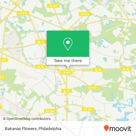 Bakanas Flowers map