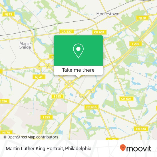 Martin Luther King Portrait map