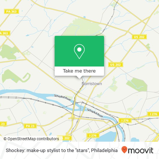 Mapa de Shockey: make-up stylist to the "stars"