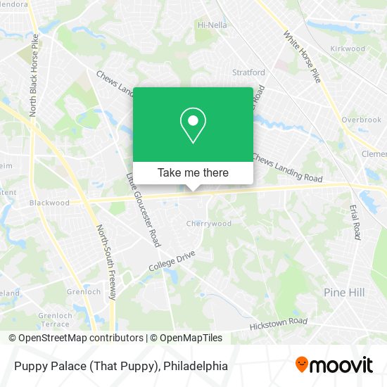 Puppy Palace (That Puppy) map