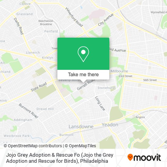 Mapa de Jojo Grey Adoption & Rescue Fo (Jojo the Grey Adoption and Rescue for Birds)