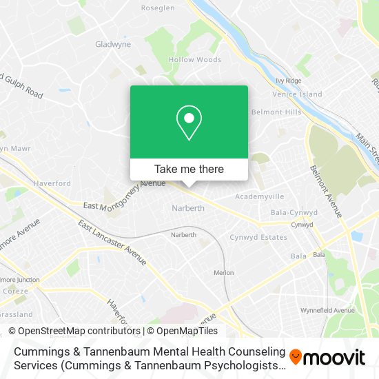 Cummings & Tannenbaum Mental Health Counseling Services (Cummings & Tannenbaum Psychologists) map