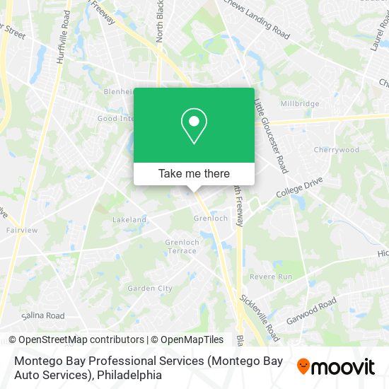 Montego Bay Professional Services map