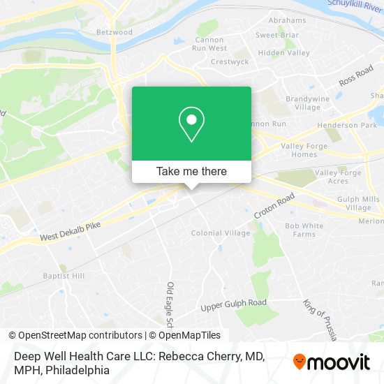 Deep Well Health Care LLC: Rebecca Cherry, MD, MPH map