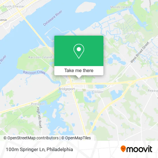 100m Springer Ln map