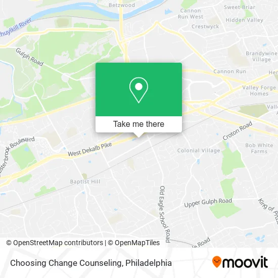 Choosing Change Counseling map