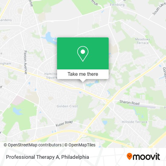 Professional Therapy A map