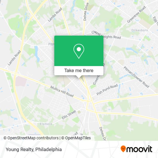 Young Realty map