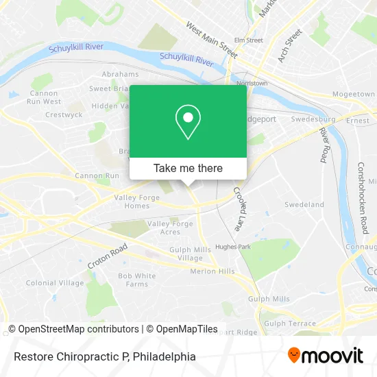 Restore Chiropractic P map