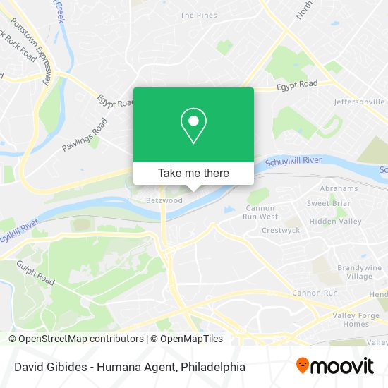 David Gibides - Humana Agent map