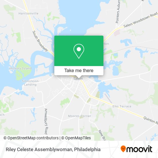 Riley Celeste Assemblywoman map