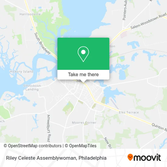 Riley Celeste Assemblywoman map