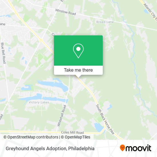 Greyhound Angels Adoption map