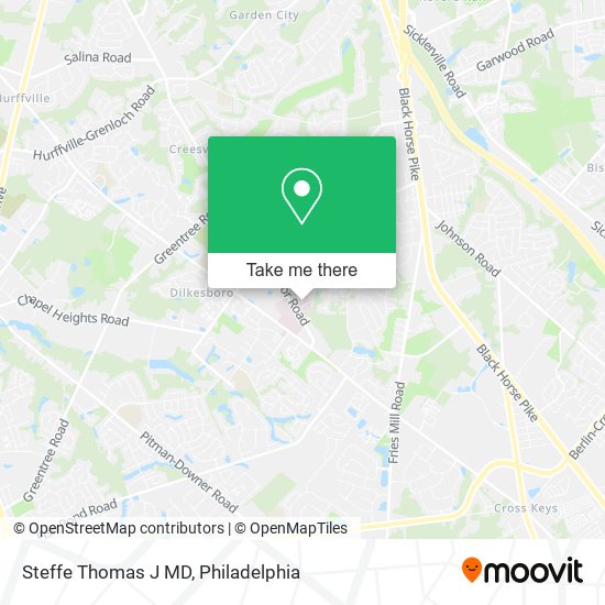 Steffe Thomas J MD map