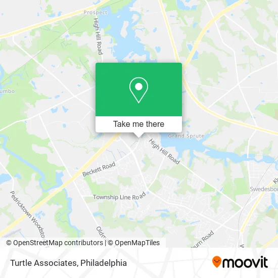 Turtle Associates map