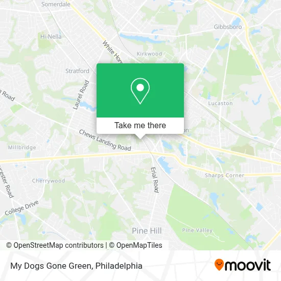 My Dogs Gone Green map