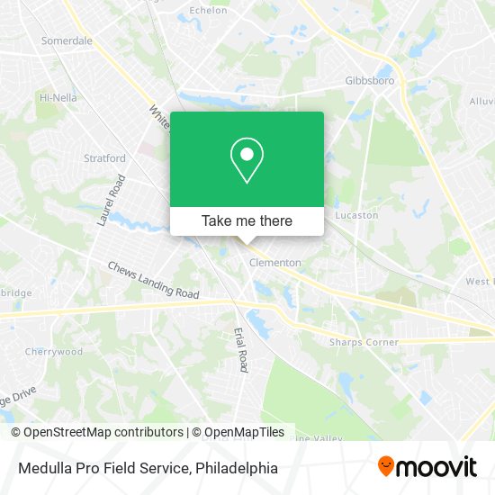 Medulla Pro Field Service map