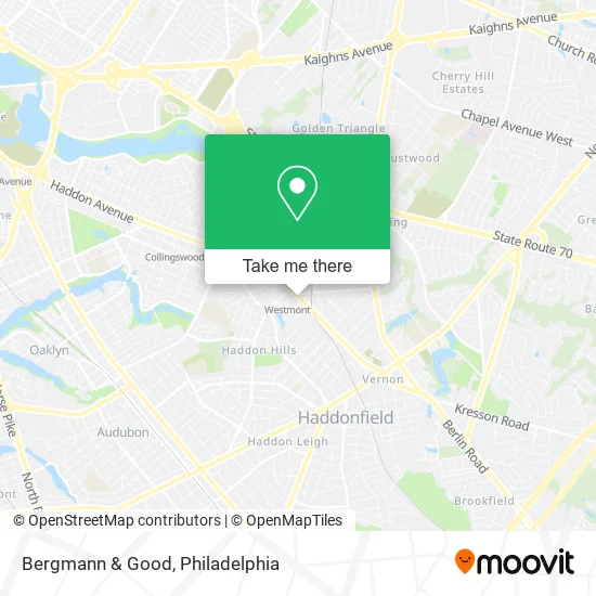 Bergmann & Good map