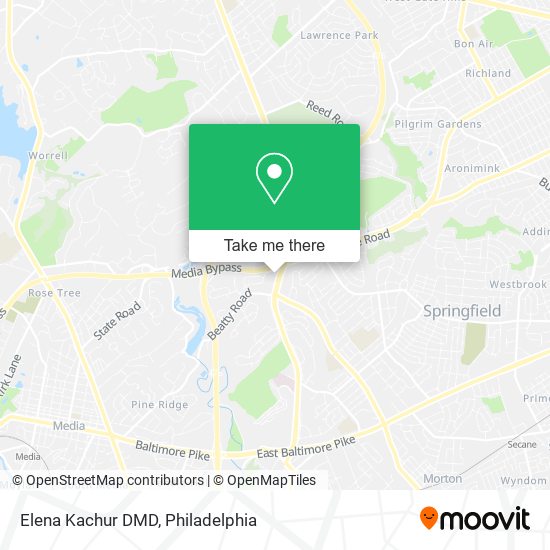 Elena Kachur DMD map
