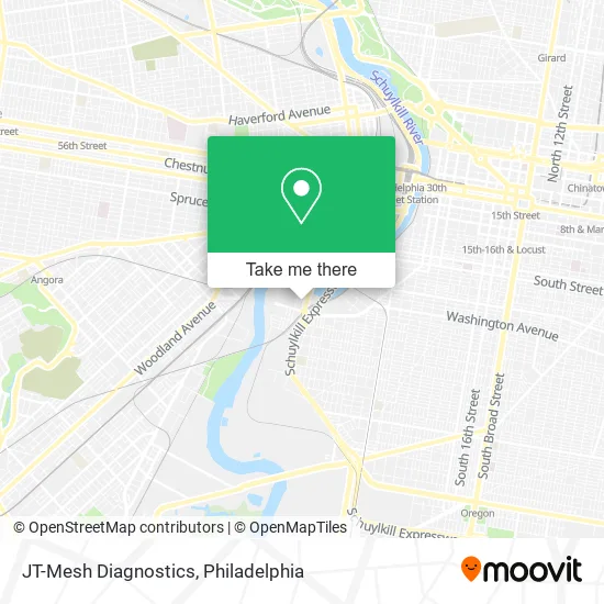 JT-Mesh Diagnostics map