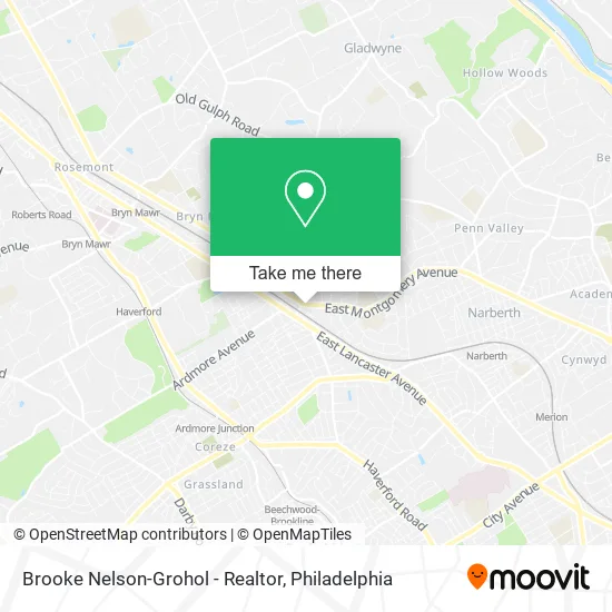 Brooke Nelson-Grohol - Realtor map