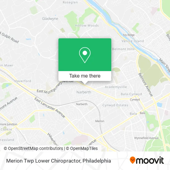 Merion Twp Lower Chiropractor map
