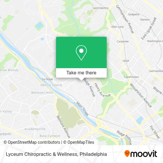 Lyceum Chiropractic & Wellness map