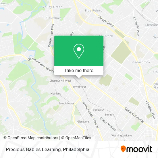 Precious Babies Learning map