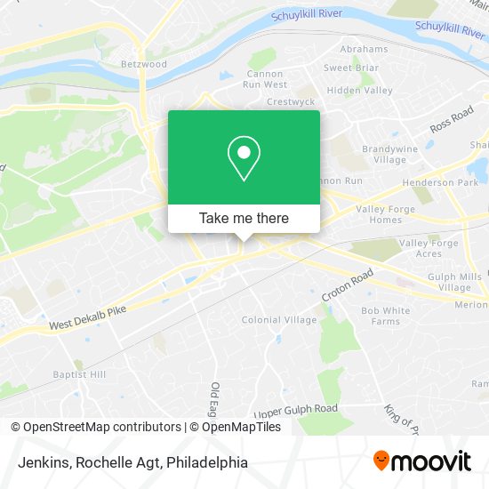 Jenkins, Rochelle Agt map
