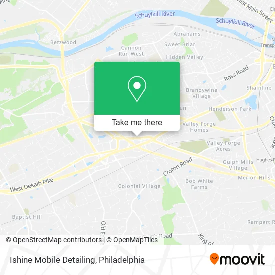 Ishine Mobile Detailing map