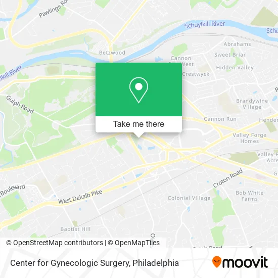 Center for Gynecologic Surgery map