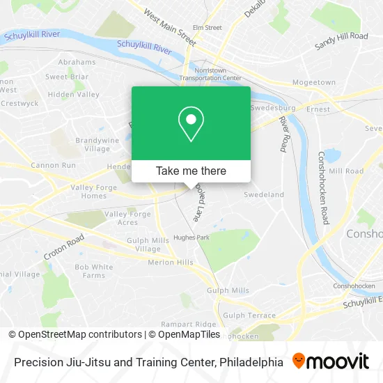Precision Jiu-Jitsu and Training Center map