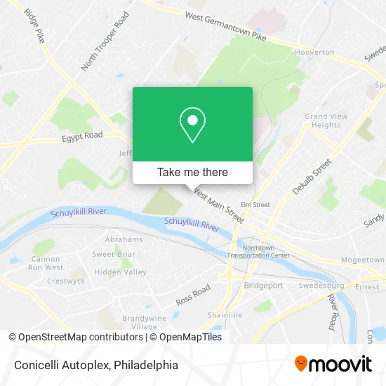 Conicelli Autoplex map