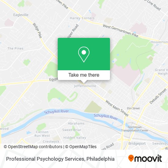 Professional Psychology Services map