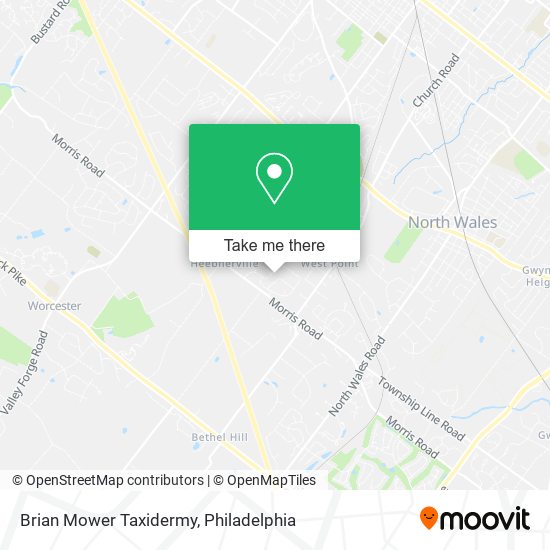 Brian Mower Taxidermy map