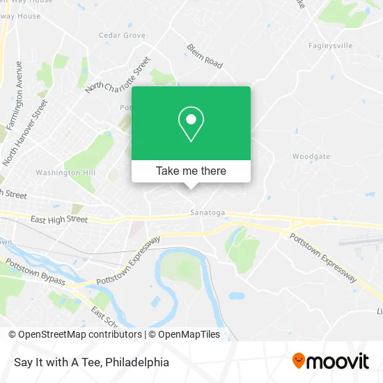 Say It with A Tee map