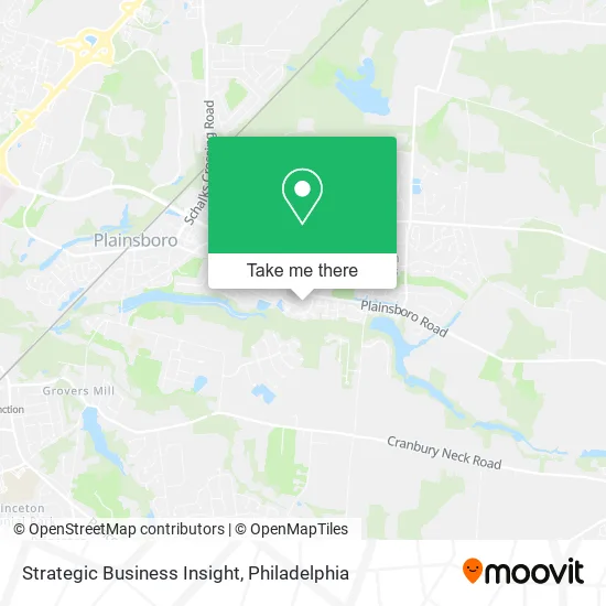 Strategic Business Insight map