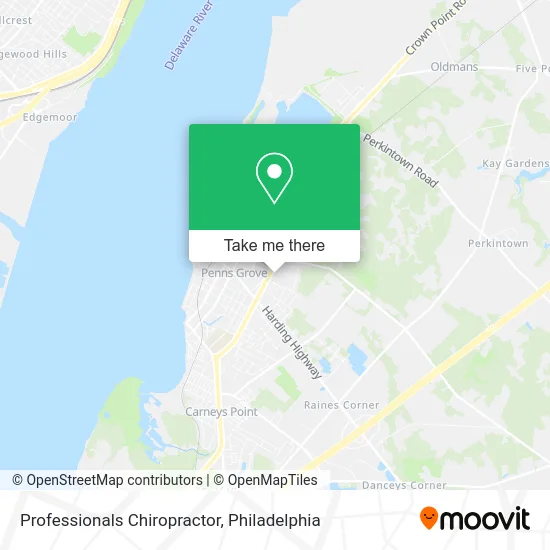 Professionals Chiropractor map