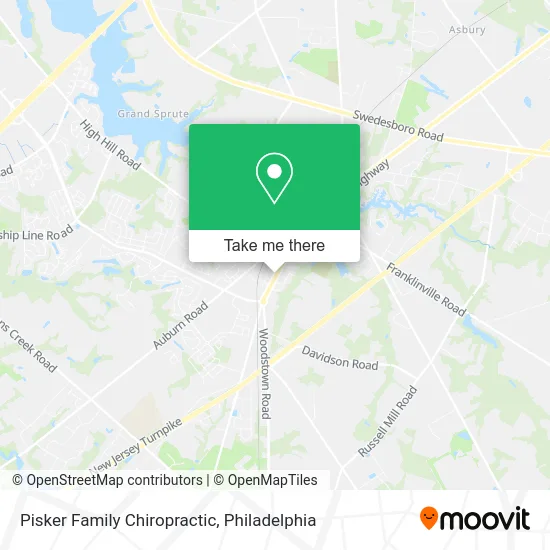 Pisker Family Chiropractic map