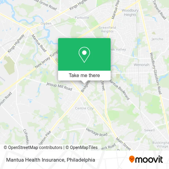 Mantua Health Insurance map