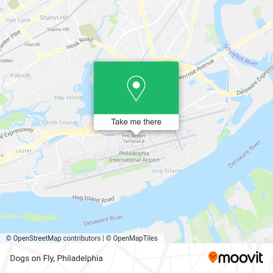 Mapa de Dogs on Fly