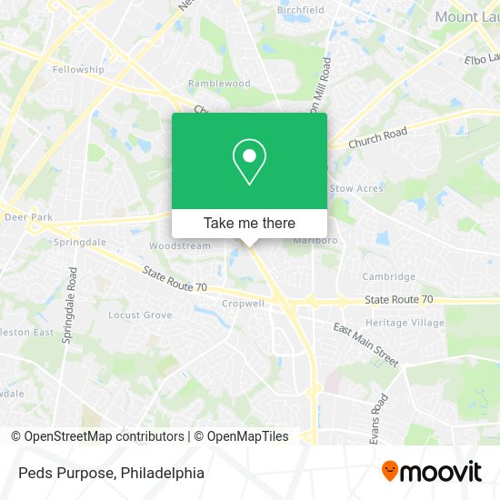 Mapa de Peds Purpose